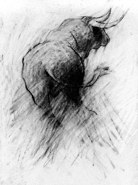 Winfried Veit